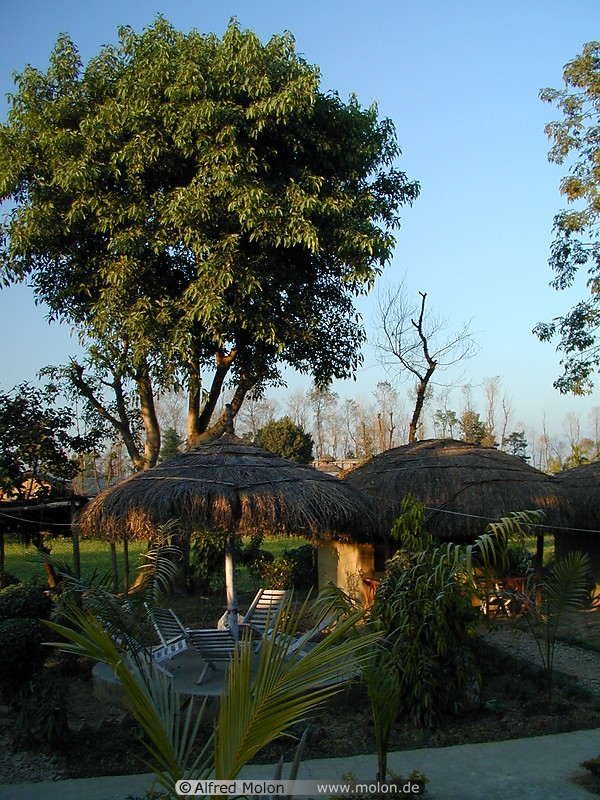 01 Bungalows in Chitwan National Park