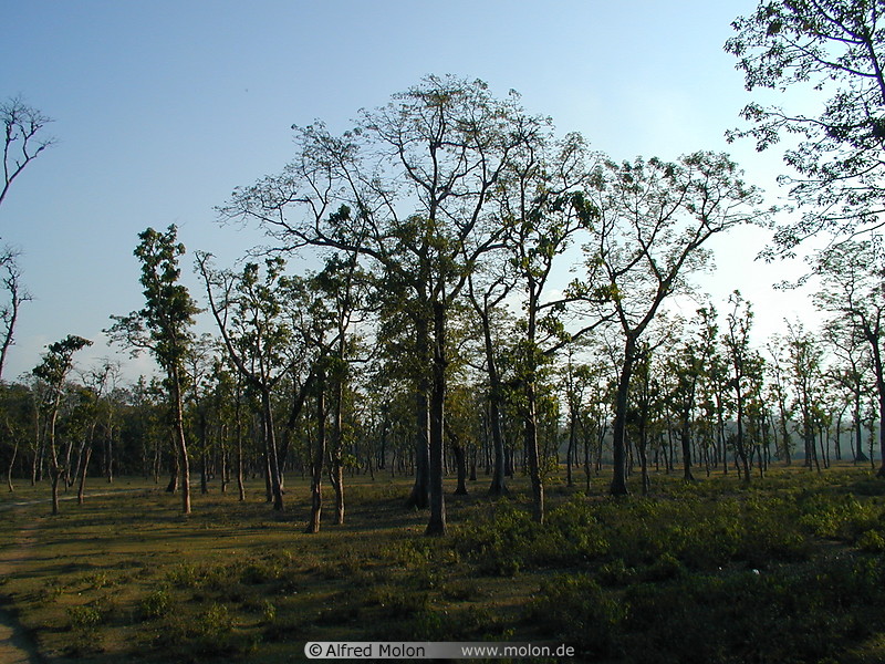 07 Chitwan National Park