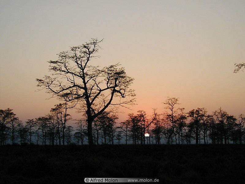 16 Chitwan National Park
