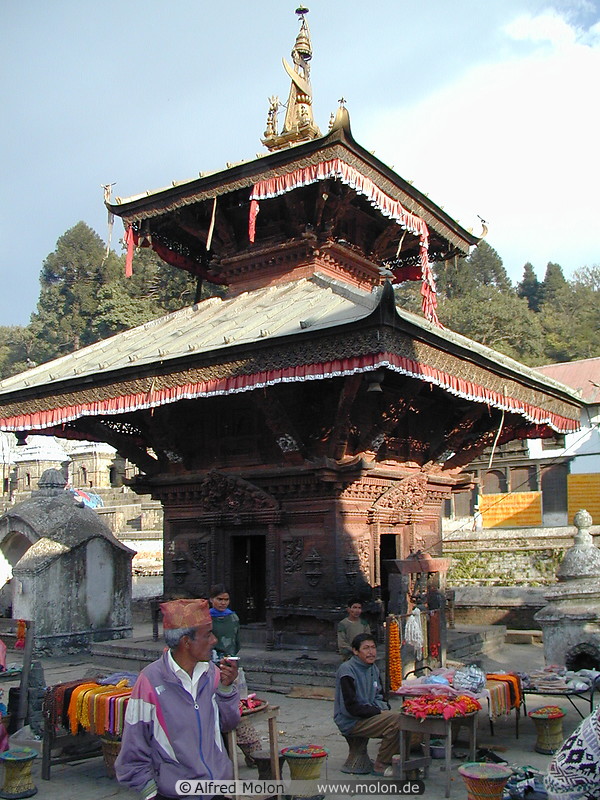 36 Pashupatinath temple area