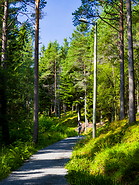 01 Forest trail on Aksla hill