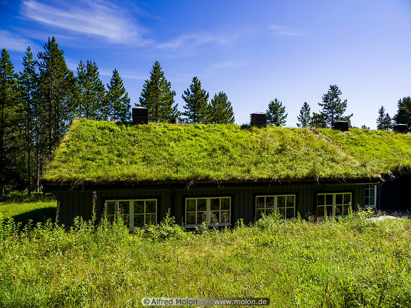 14 Lianvatnet house with grass covered roof