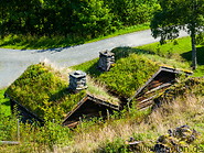25 Grass covered roofs