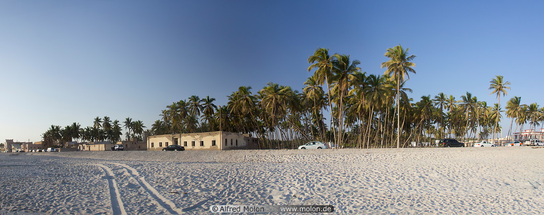 03 Coconut palms on beach