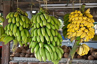 10 Banana bunches for sale