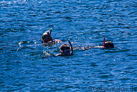 09 Snorkelling tourists
