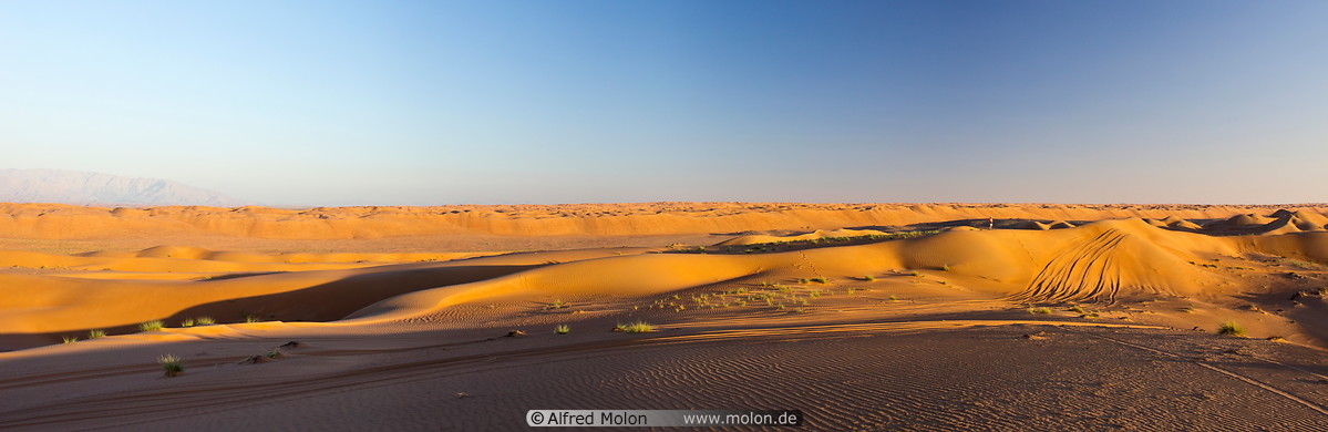 20 Sand dunes panoramic view at sunset