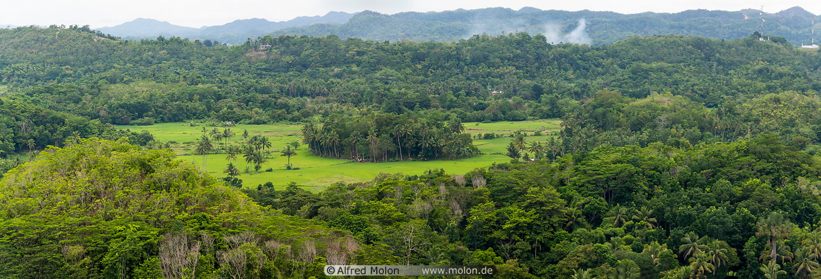 11 Scenery with rainforest