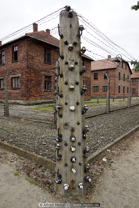 15 Electrified barbed wire fence