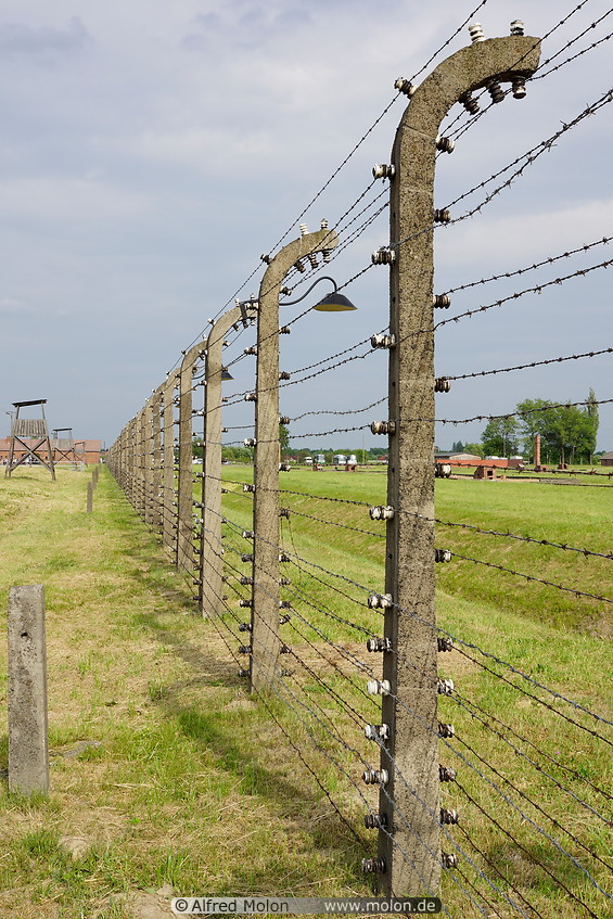 10 Electrified barbed wire fence