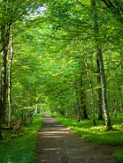 47 Trail in Bialowieza forest