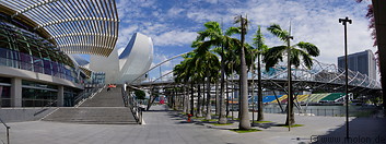 22 Art Science museum and palm trees