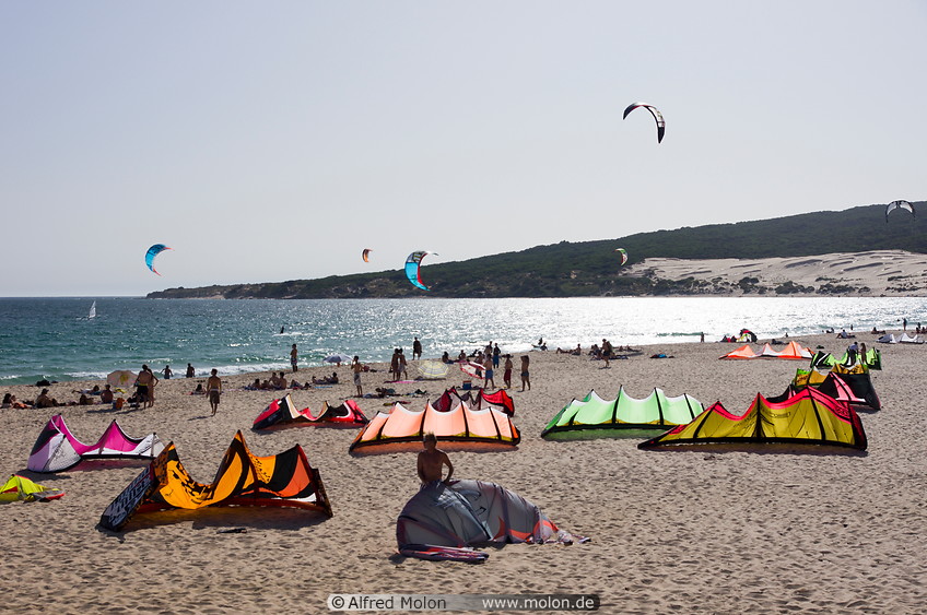 12 Kites on the beach