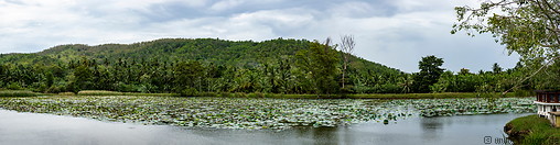 20 Pinnaketiya lake
