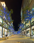 24 Pedestrian area with tree decorations