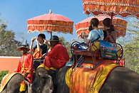 03 Elephants near Wat Phra Ram