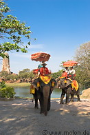 09 Elephants near Wat Phra Ram