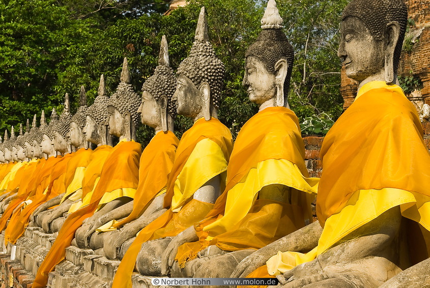 10 Aligned Buddha statues covered with golden robes