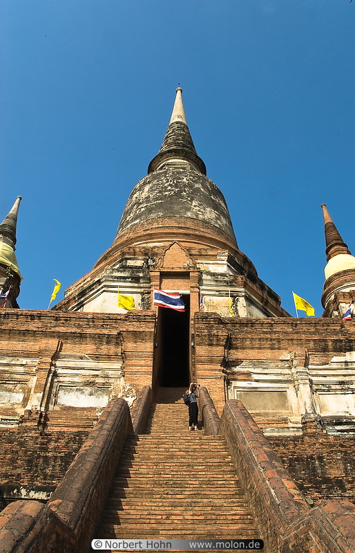 11 Stupas