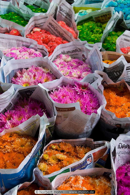 06 Pak Khlong flower market