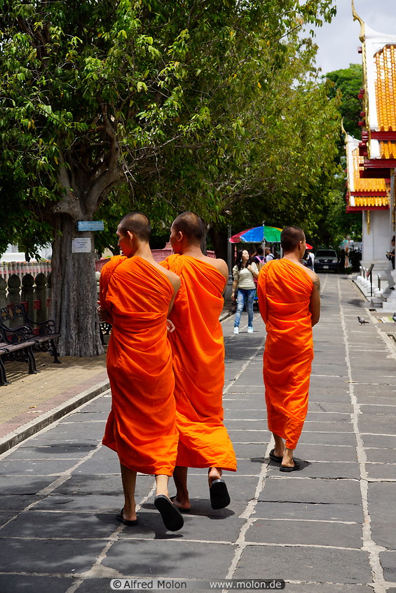 14 Buddhist monks