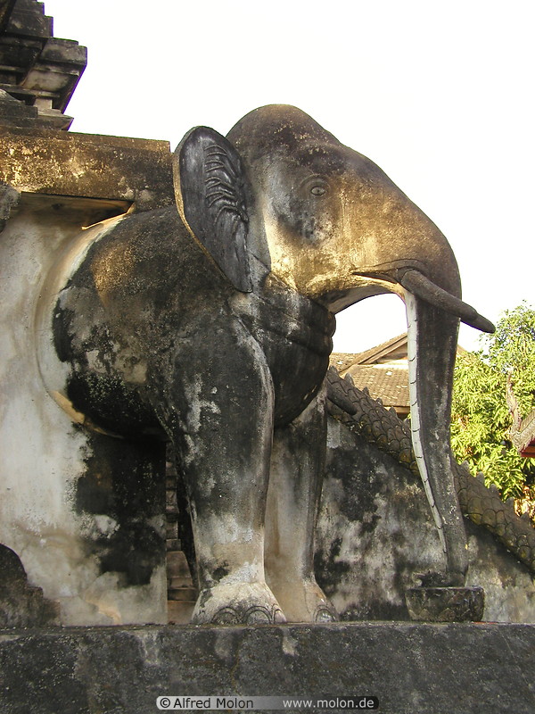 08 Elephant at the base of the stupa