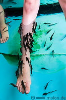 08 Fish eating leg skin