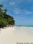 01 Coconut palm fringed beach