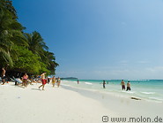 05 Coconut palm fringed beach