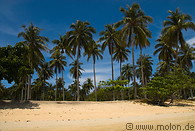 25 Palm fringed beach