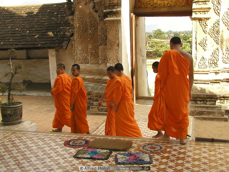 12 Buddhist monks