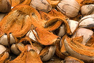19 Coconut shells