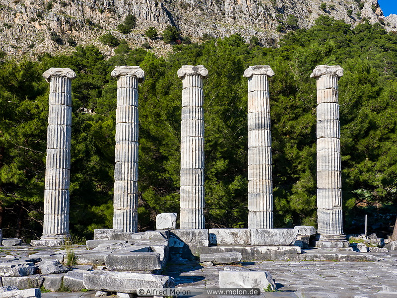 15 Temple of Athena columns