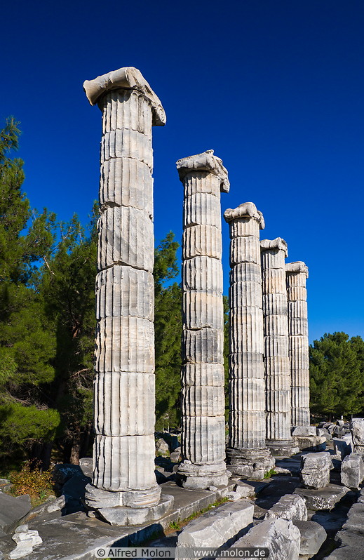 22 Temple of Athena columns