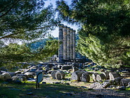 11 View through forest towards Athena temple