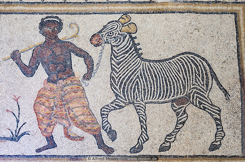 02 Servant and zebra mosaic