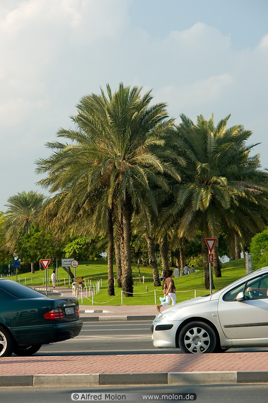 06 Palm trees and cars on Al Khaleej road