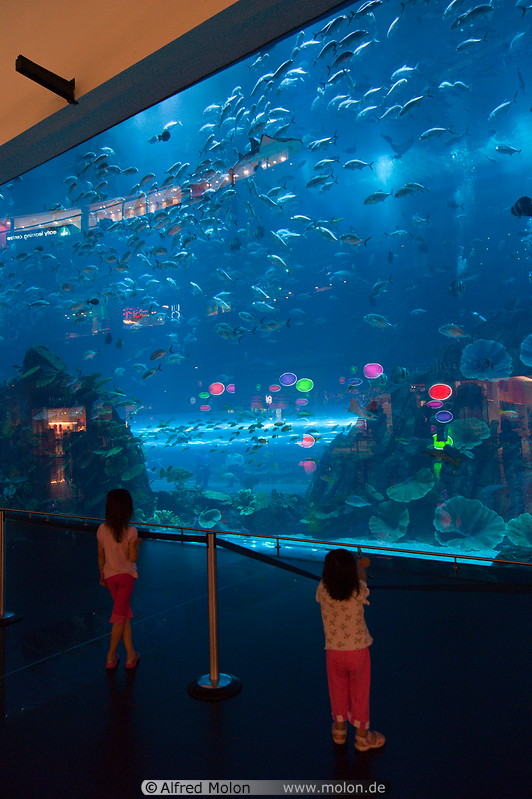 07 Aquarium