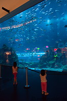 07 Aquarium