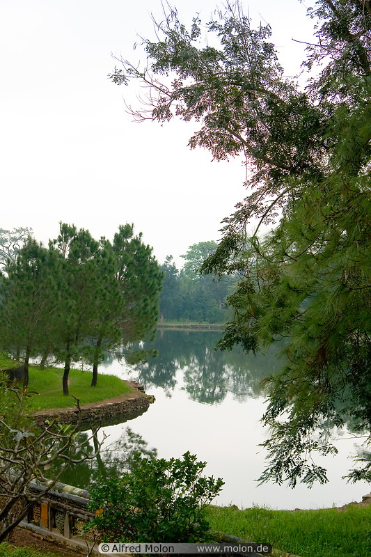 18 Pond and trees