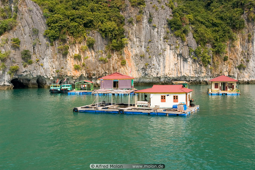 01 Boat houses in bay