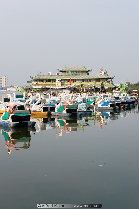 20 Swan boats on West  lake