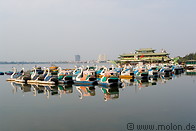 19 Swan boats on West  lake
